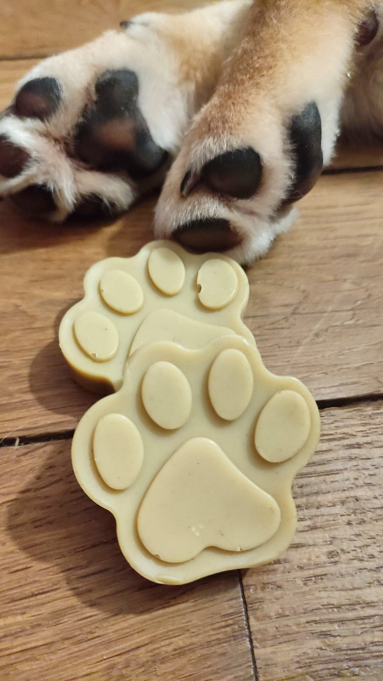 Pour les compagnons à quatre pattes