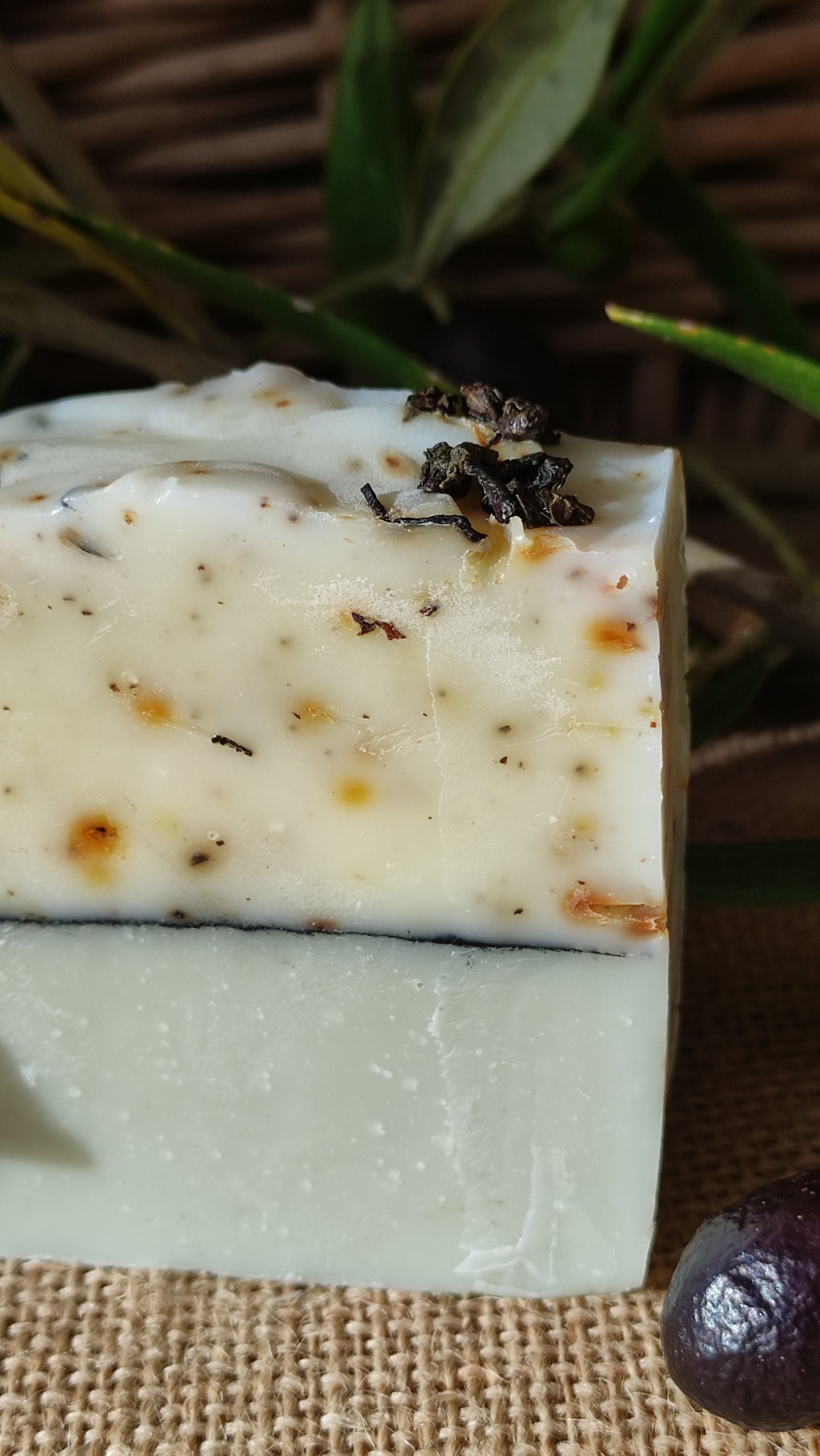Savon artisanal saponifié à froid. Il est bicolore. La partie inférieure est vert clair et la partie supérieure blanche mouchetée de petits fragments de thé vert. une ligne de charbon sépare les deux parties.