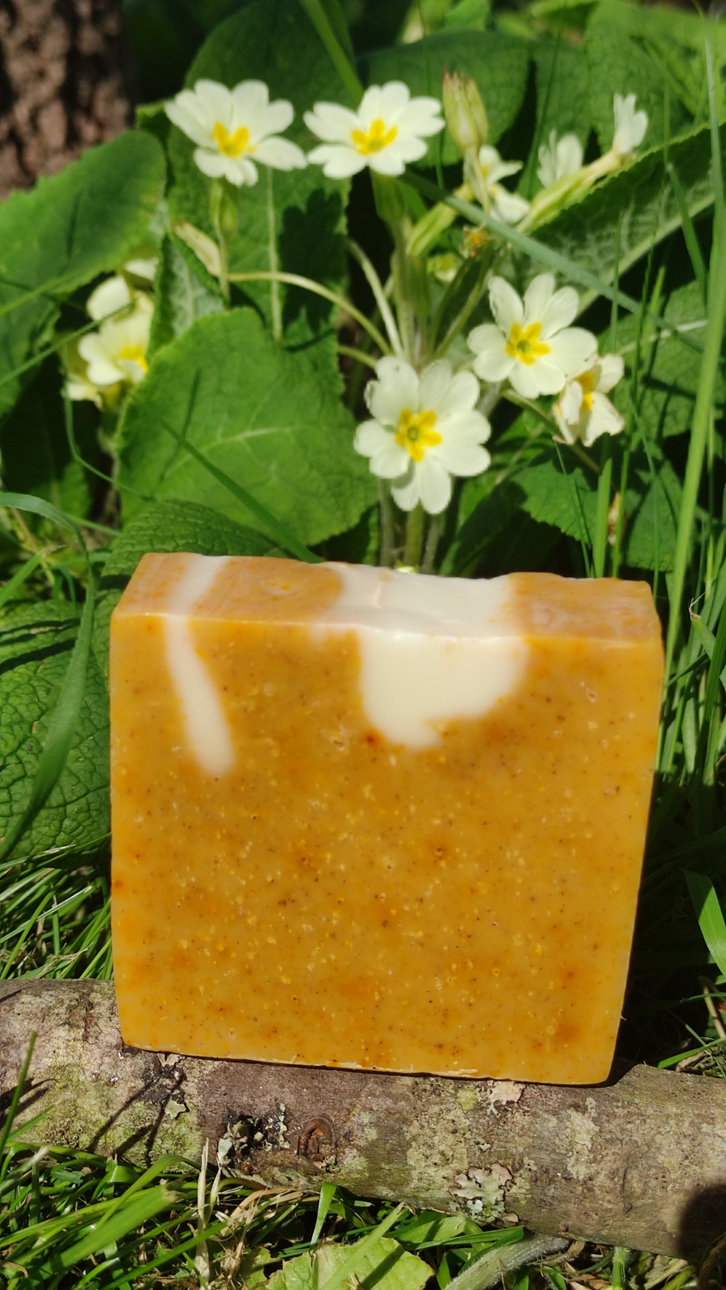savon naturel saponifié à froid à l'huile de jojoba et au curcuma riche en antioxydants pour un effet bonne mine