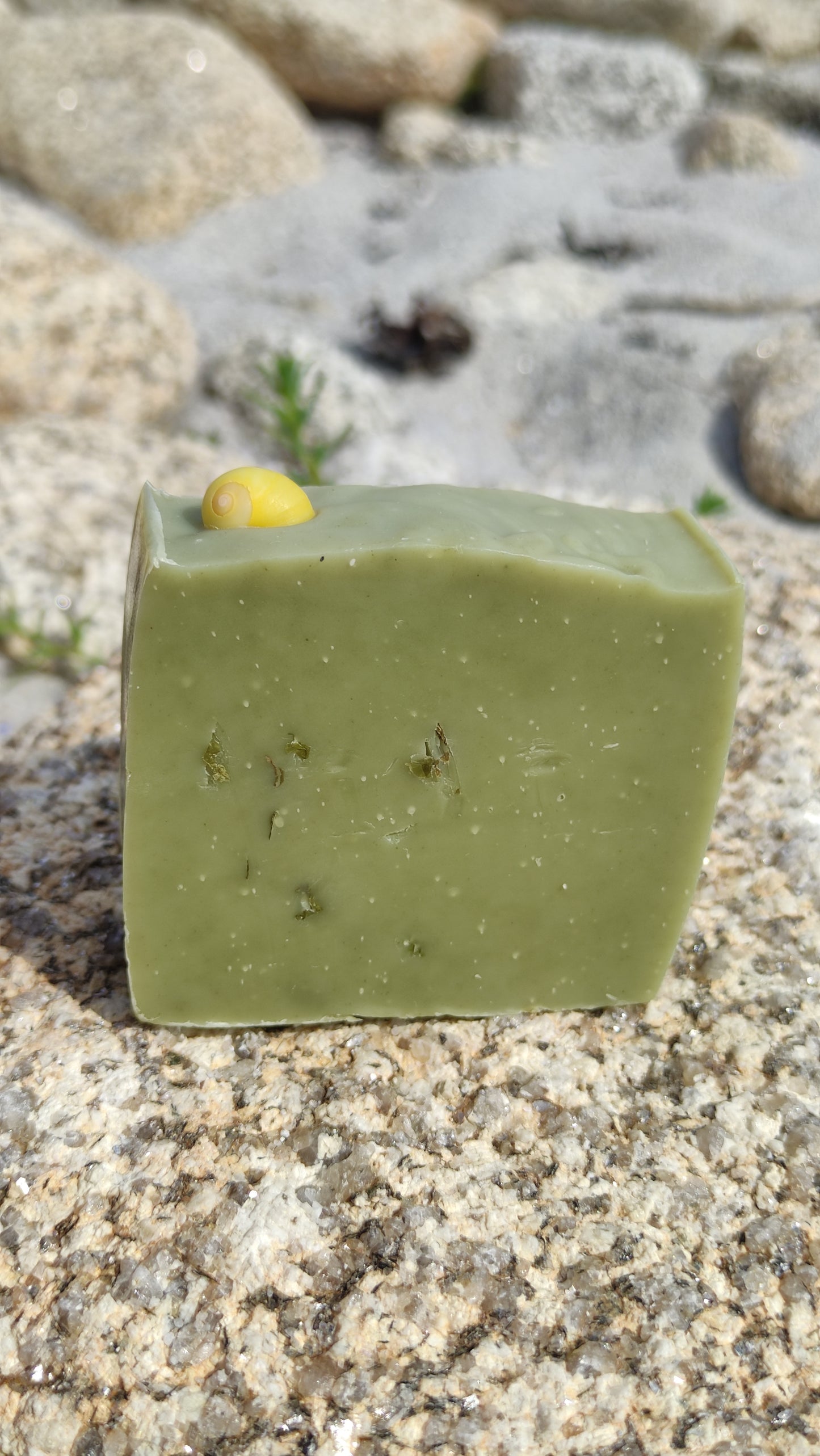 Savon naturel saponifié à froid au sel, aux algues et à la spiruline avec un coquillage sur le dessus. Il est très doux et son parfum est iodé.