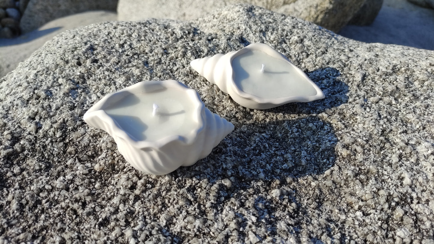 Bougie non parfumée dans un support blanc en jesmonite en forme de coquillage, mèche en coton