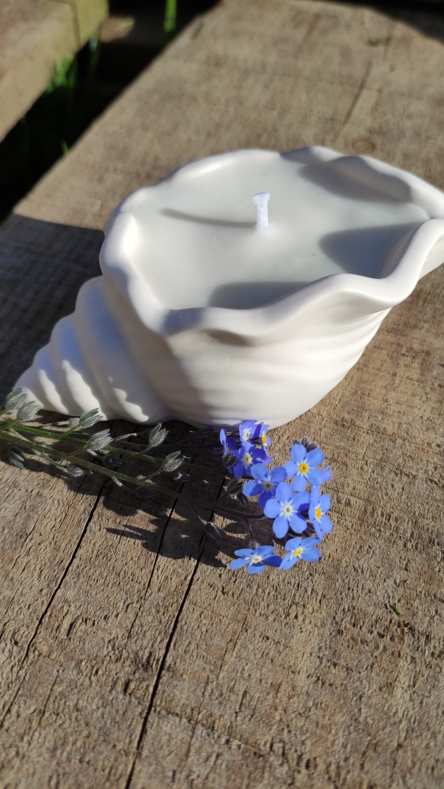 Bougie non parfumée dans un support blanc en jesmonite en forme de coquillage, mèche en coton