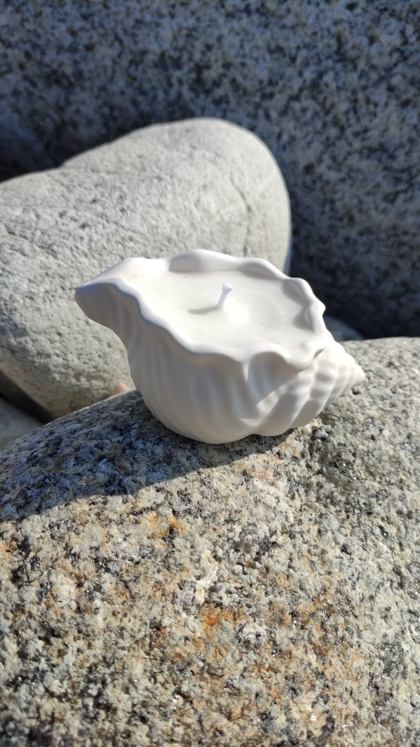 Bougie non parfumée dans un support blanc en jesmonite en forme de coquillage, mèche en coton