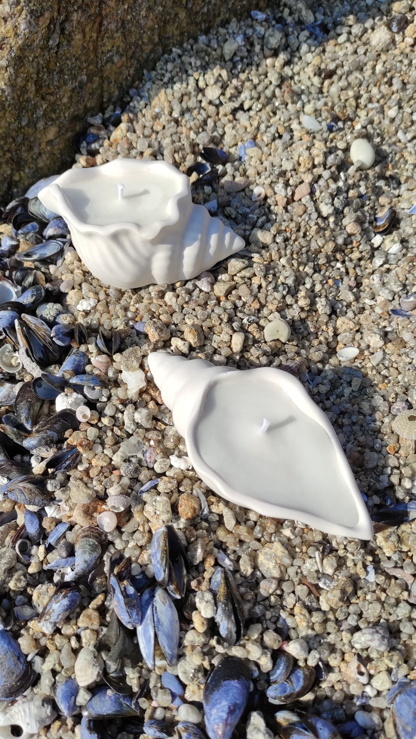 Bougie non parfumée dans un support blanc en jesmonite en forme de coquillage, mèche en coton