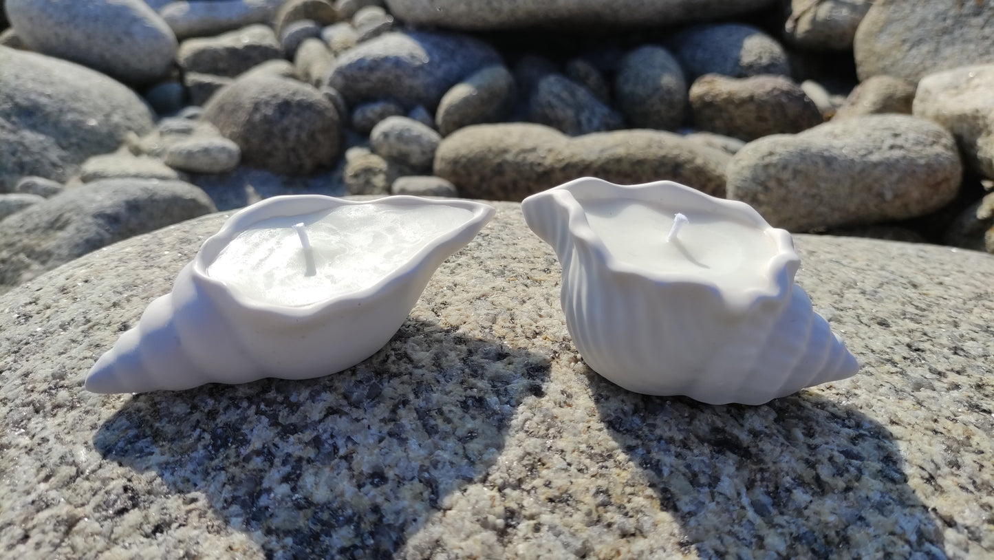 Bougie non parfumée dans un support blanc en jesmonite en forme de coquillage, mèche en coton