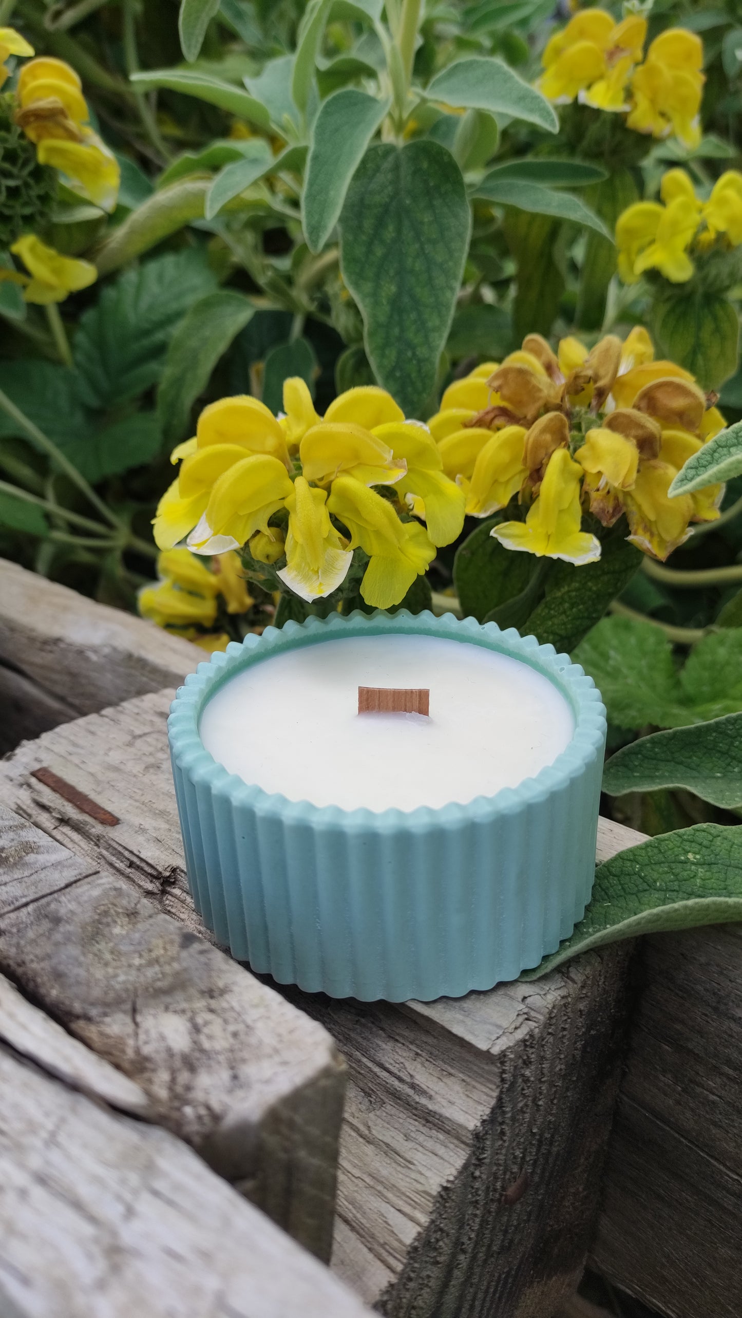 Bougie parfumée chèvrefeuille dans un support rond strié vert en jesmonite, mèche en bois