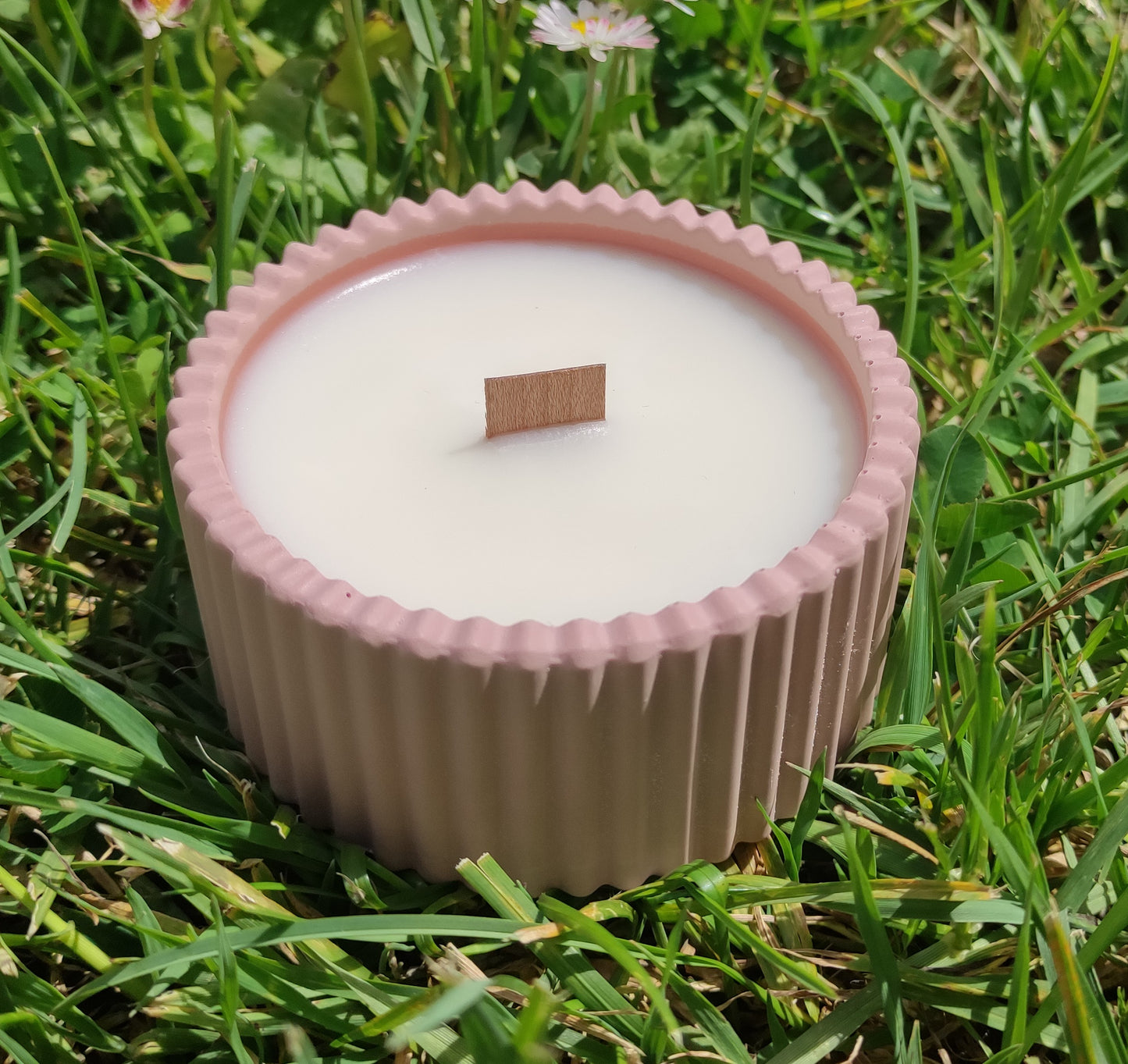 Bougie parfumée fleurs de coton dans un support rond strié rose en jesmonite, mèche en bois