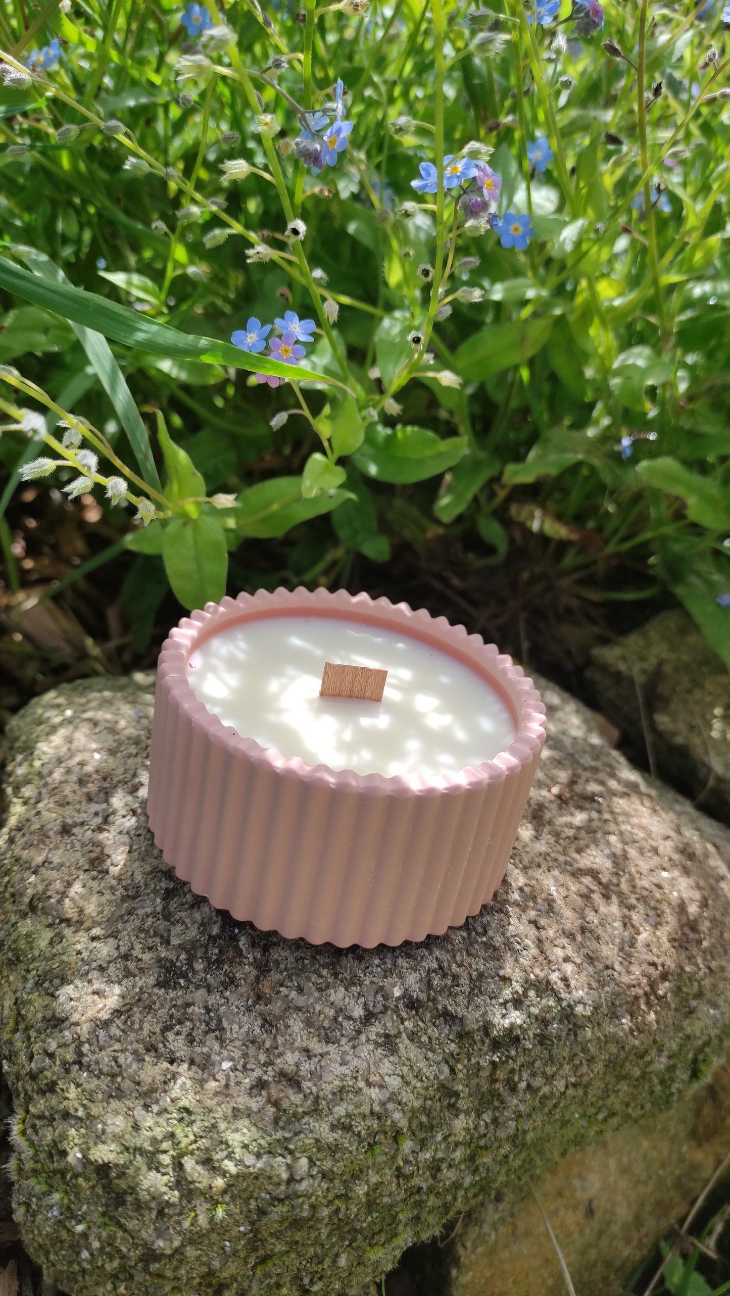 Bougie parfumée fleurs de coton dans un support rond strié rose en jesmonite, mèche en bois