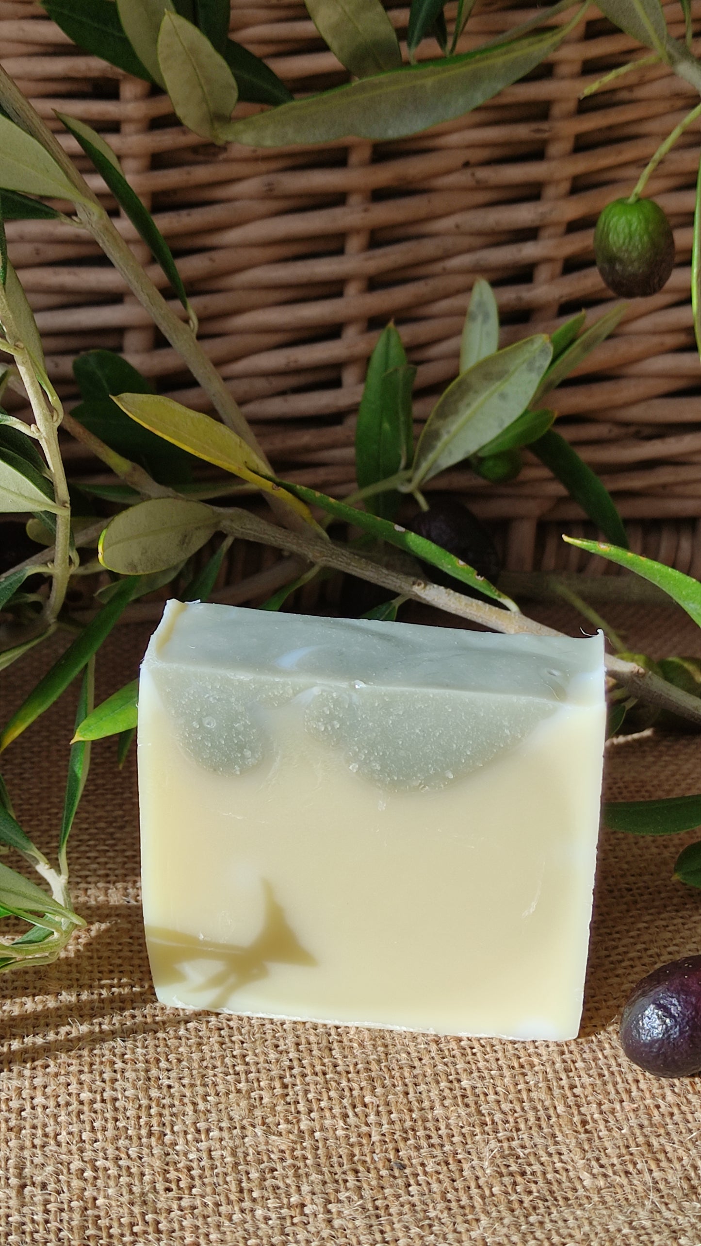 savon couleur crème avec marbrures vertes sur le dessus présenté avec une branche d'olivier