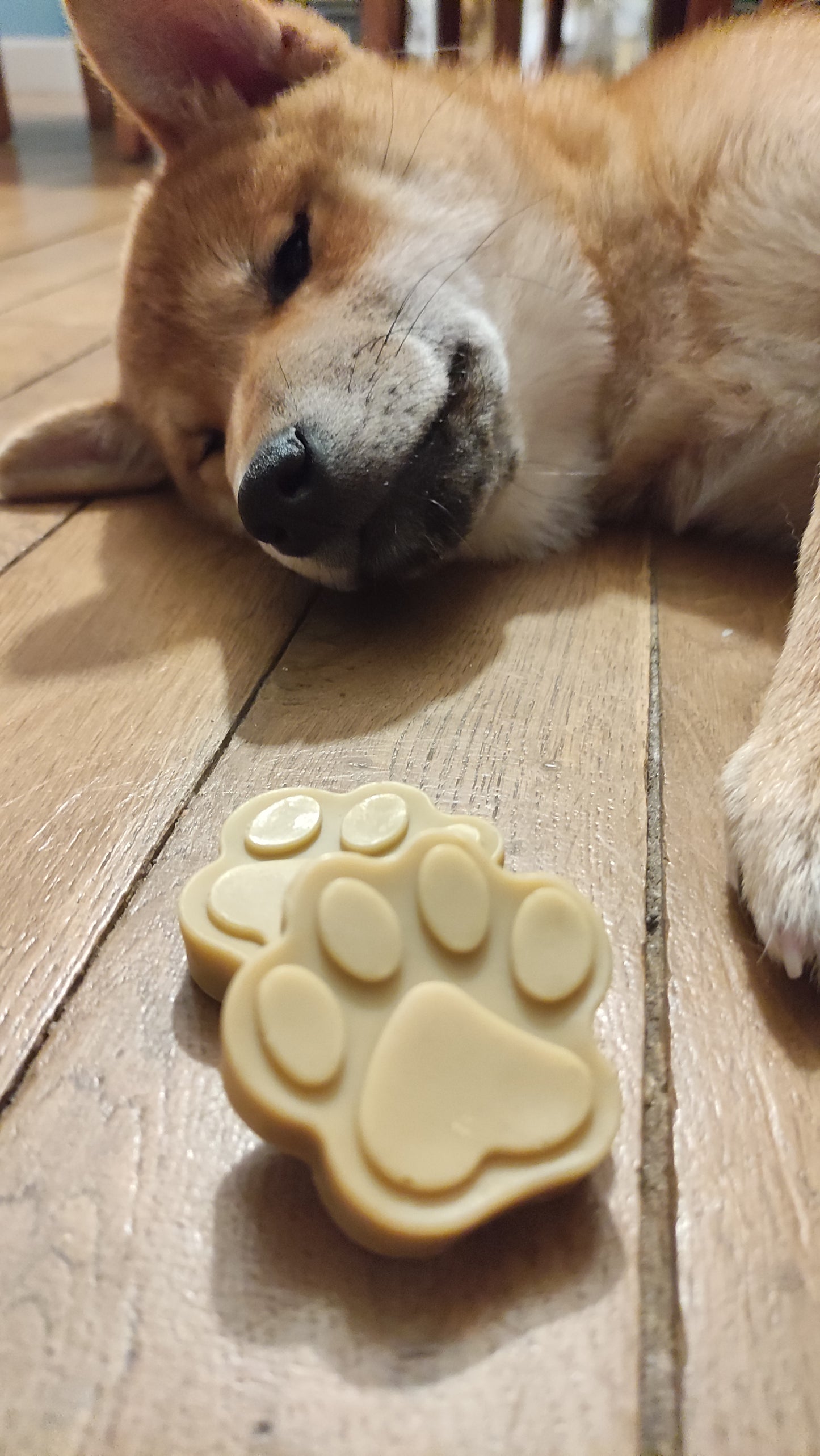 Shampooing solide saponifié à froid pour chien et chat, en forme d'empreinte de patte