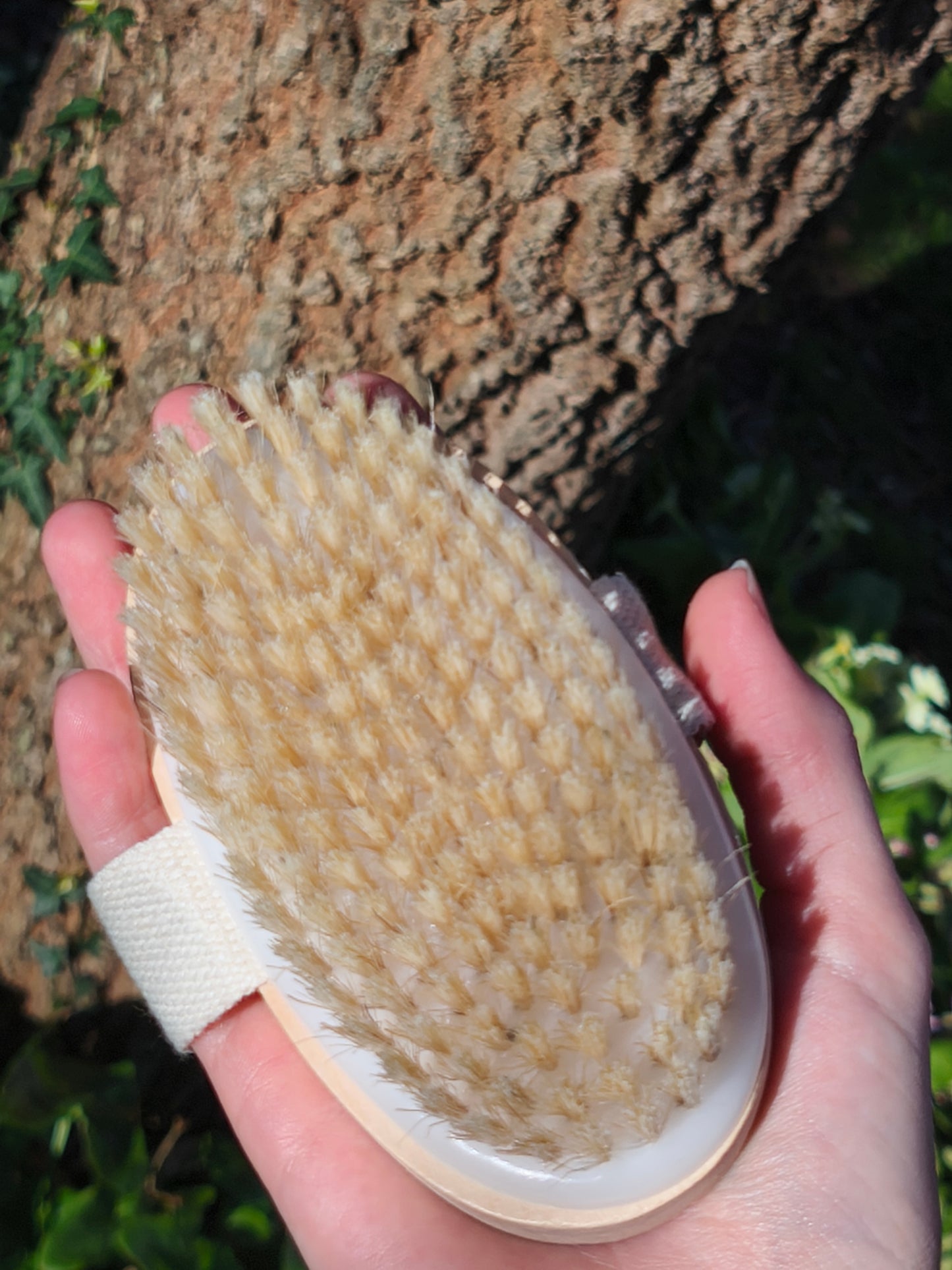 Brosse exfoliante pour le corps