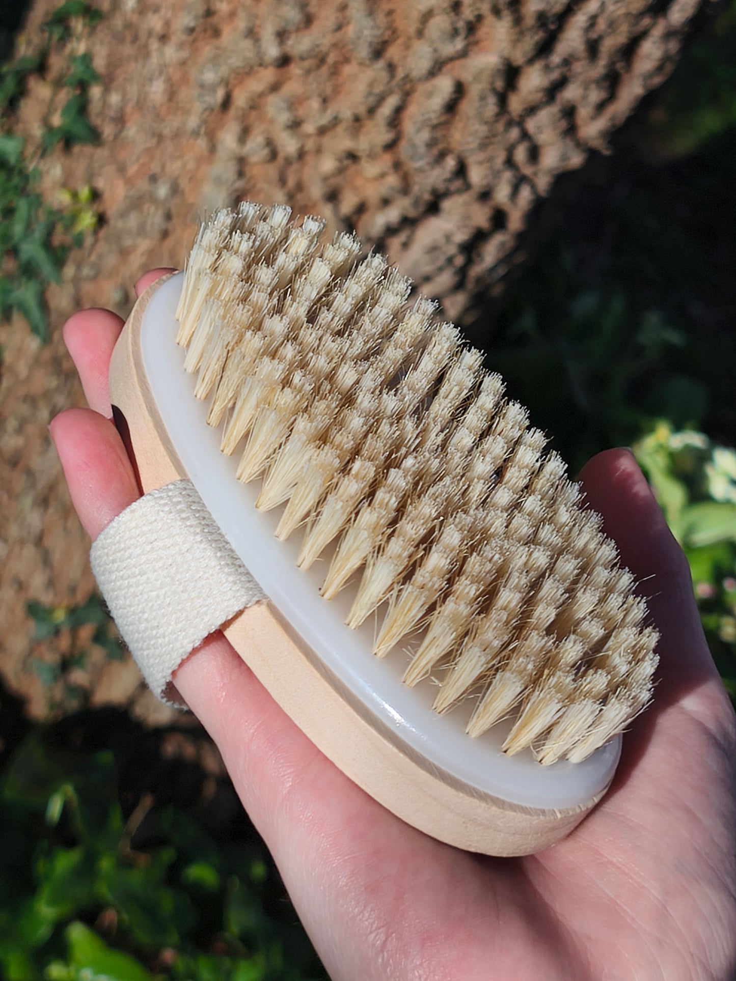 Brosse exfoliante pour le corps