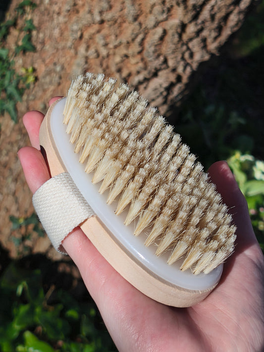 Brosse exfoliante pour le corps