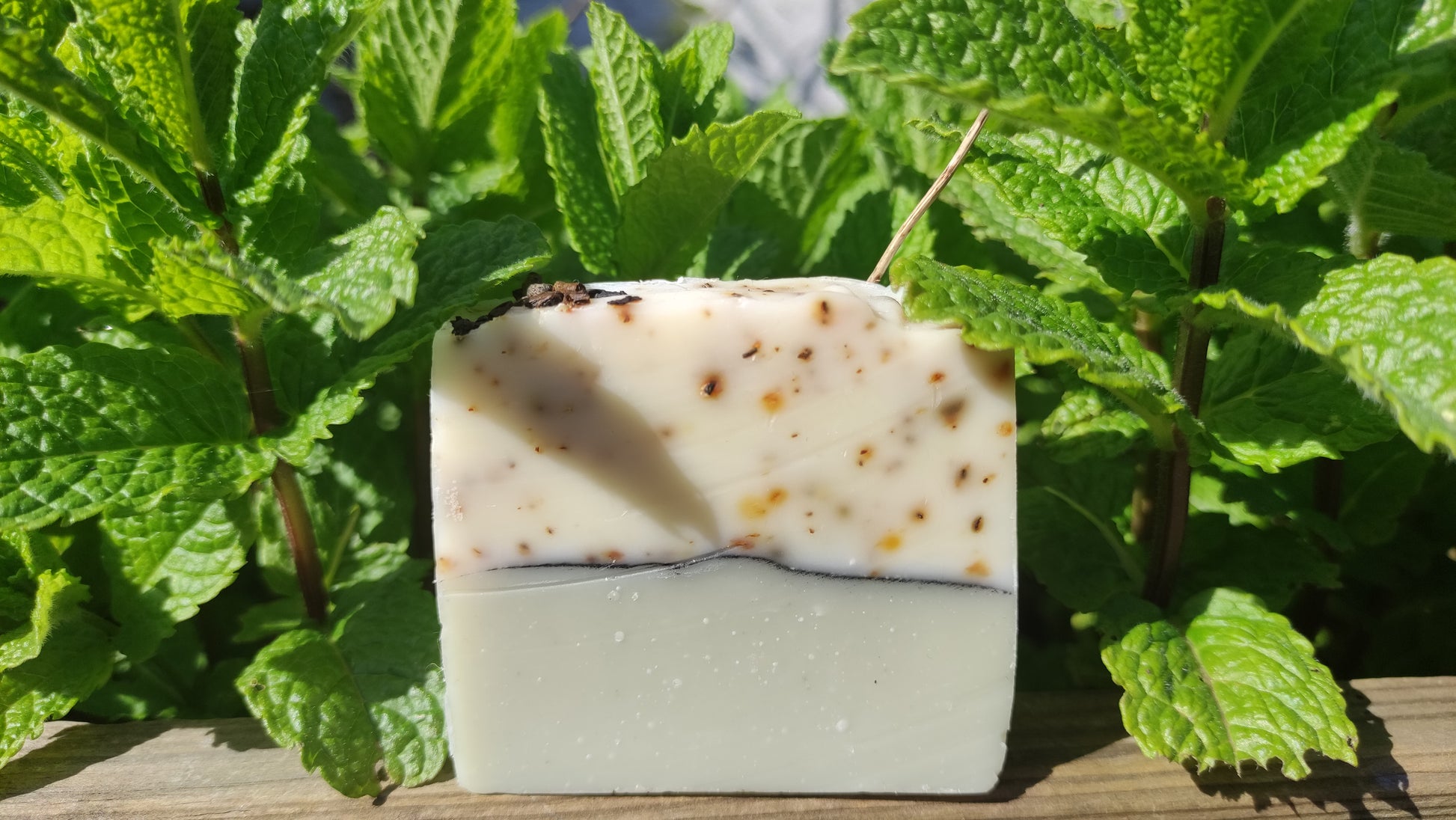 Savon artisanal saponifié à froid. Il est bicolore. La partie inférieure est vert clair et la partie supérieure blanche mouchetée de petits fragments de thé vert. une ligne de charbon sépare les deux parties. Le savon se trouve partmi des feuilles de menthe fraiches