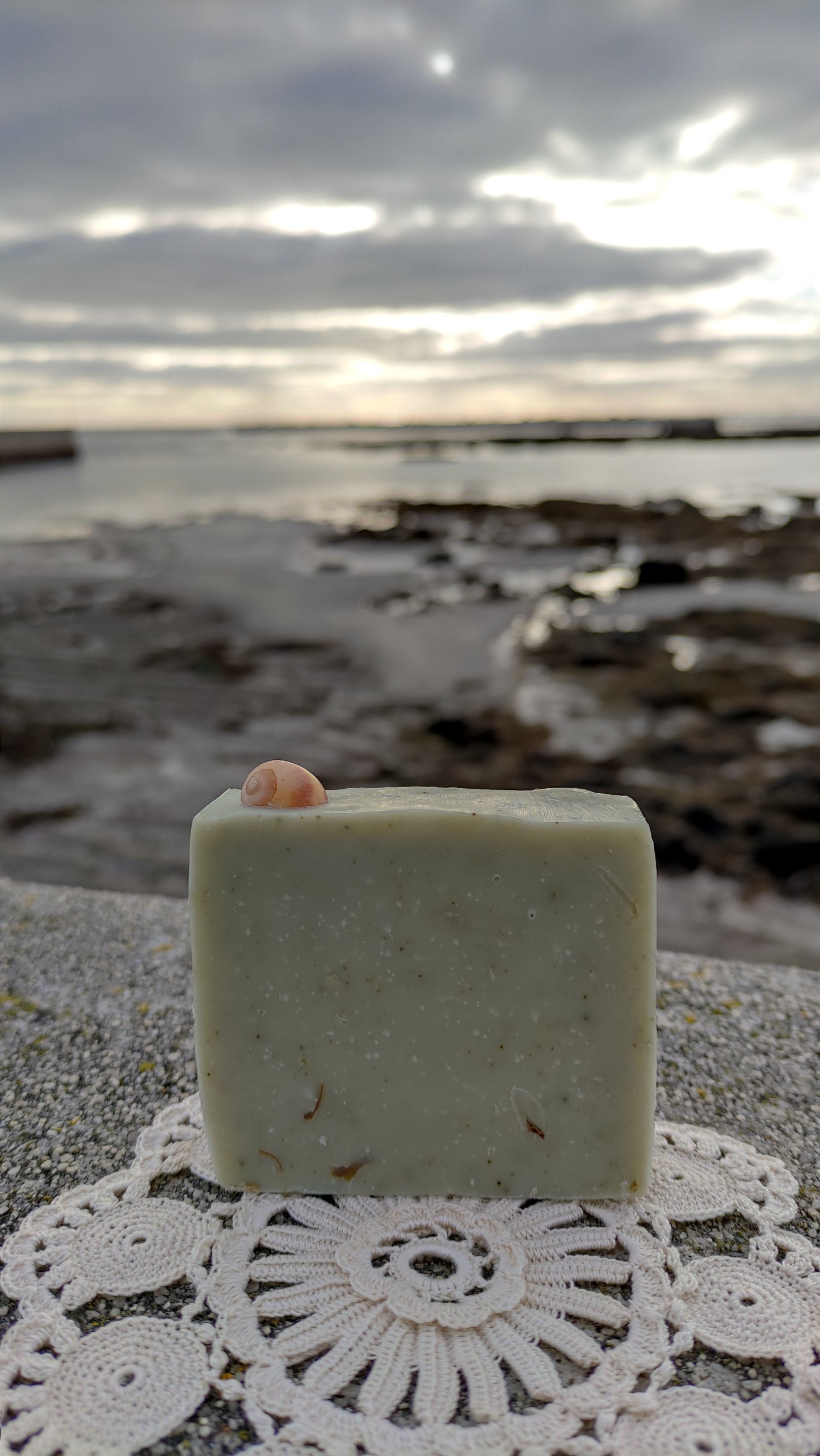 Savon naturel saponifié à froid au sel, aux algues et à la spiruline avec un coquillage sur le dessus. Il est très doux et son parfum est iodé.