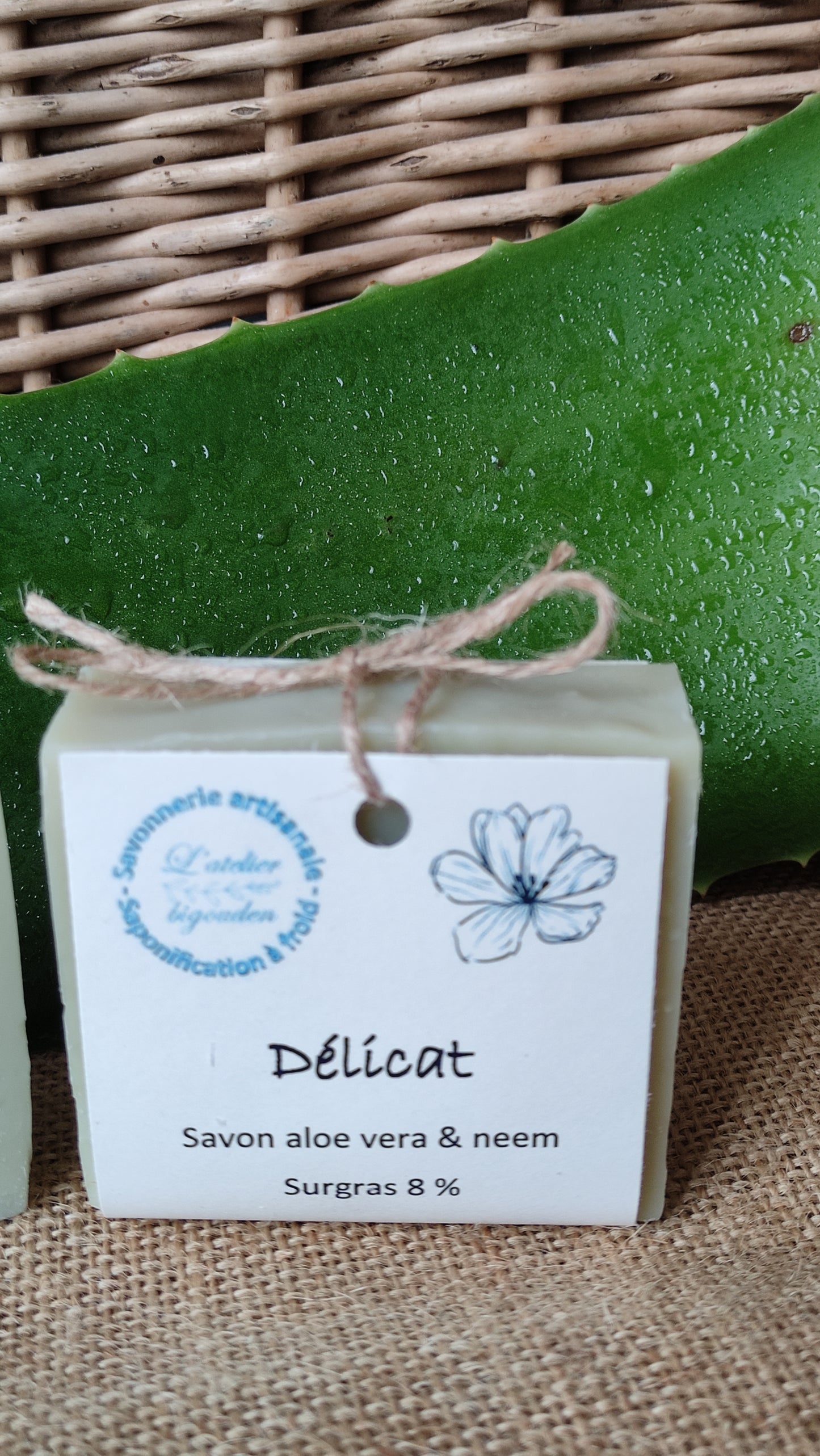savon vert pâle à côté d'une feuille fraiche d'aloe vera