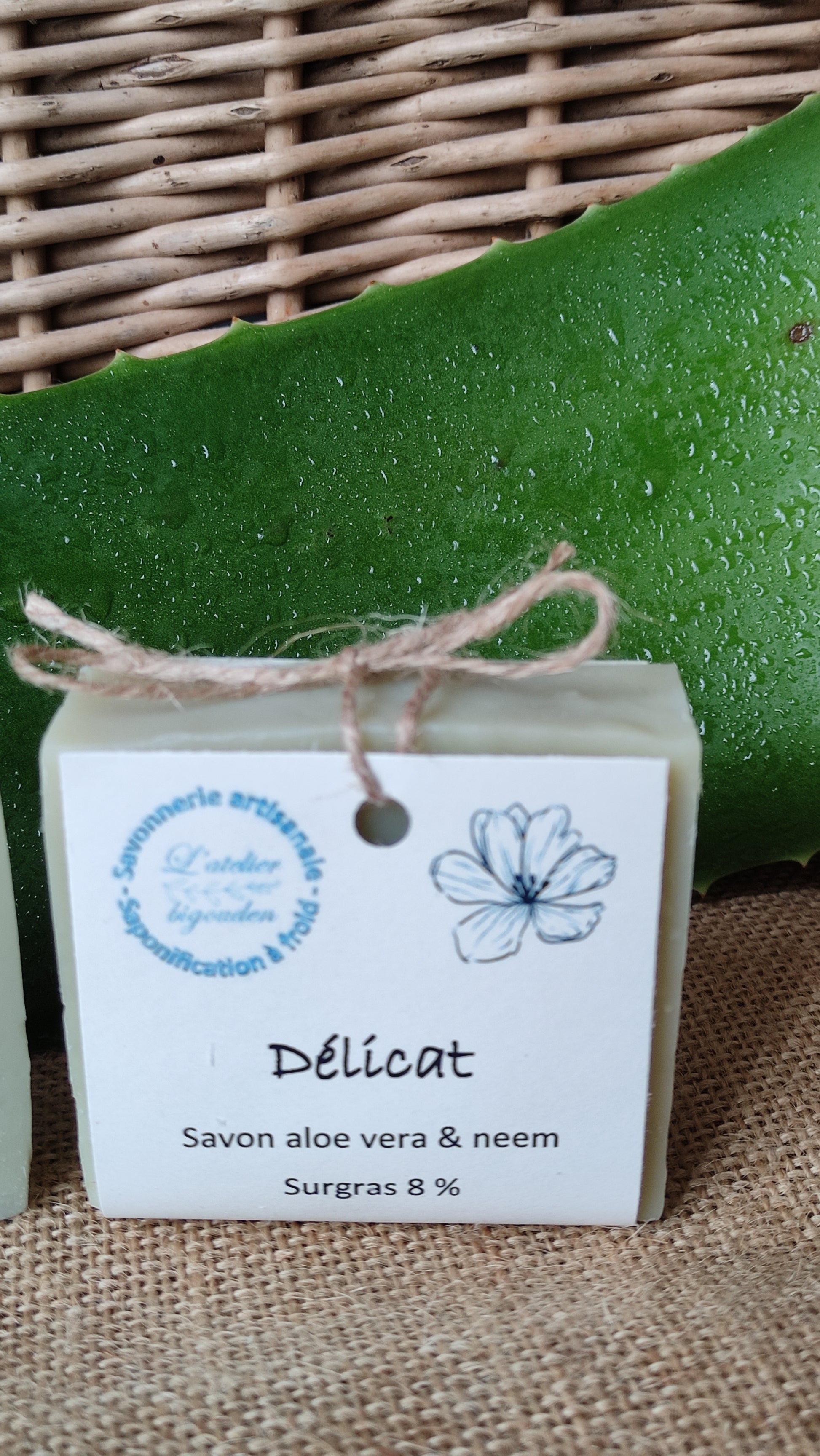 savon vert pâle à côté d'une feuille fraiche d'aloe vera