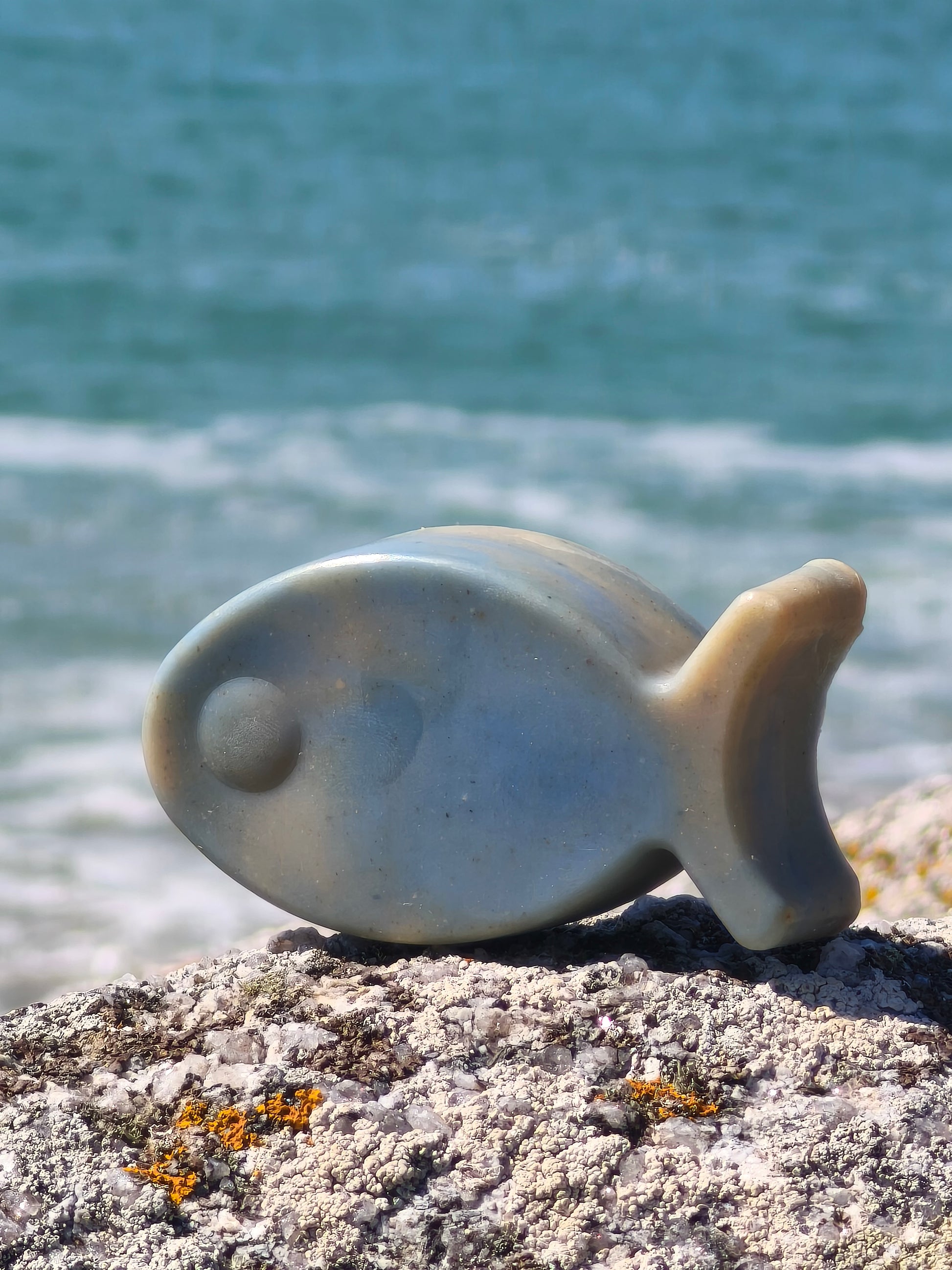 savon exfoliant en forme de poisson posé sur son rocher au bord de la mer en Bretagne
