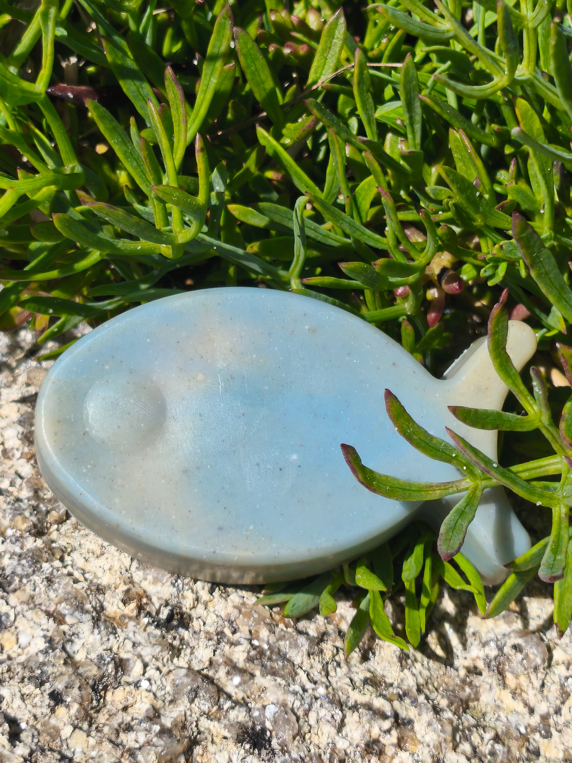 savon exfoliant à la criste marine en format poisson marbré bleu et beige