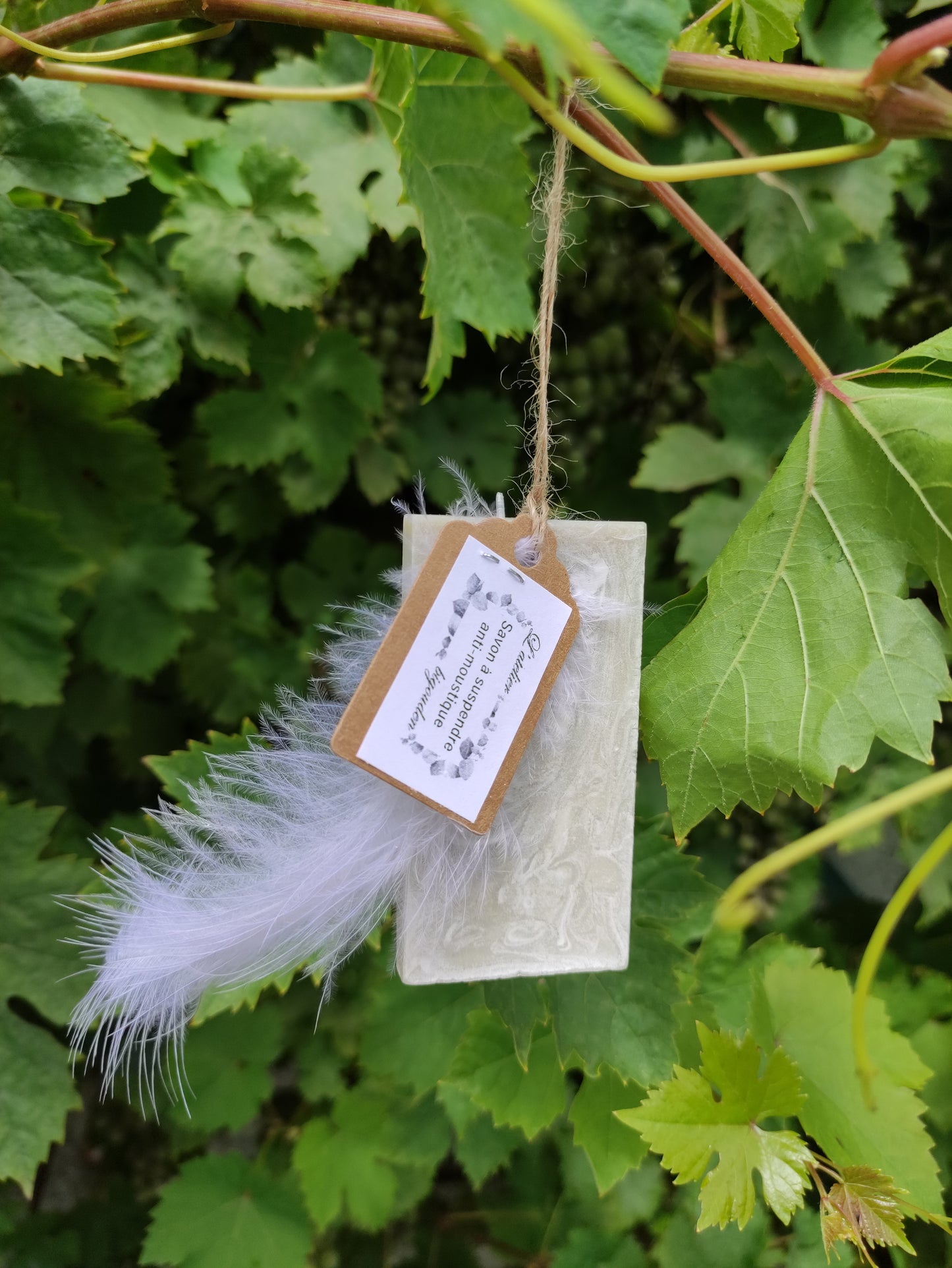 savon d'armoire rectangulaire vert. Il est suspendu à une branche de vigne