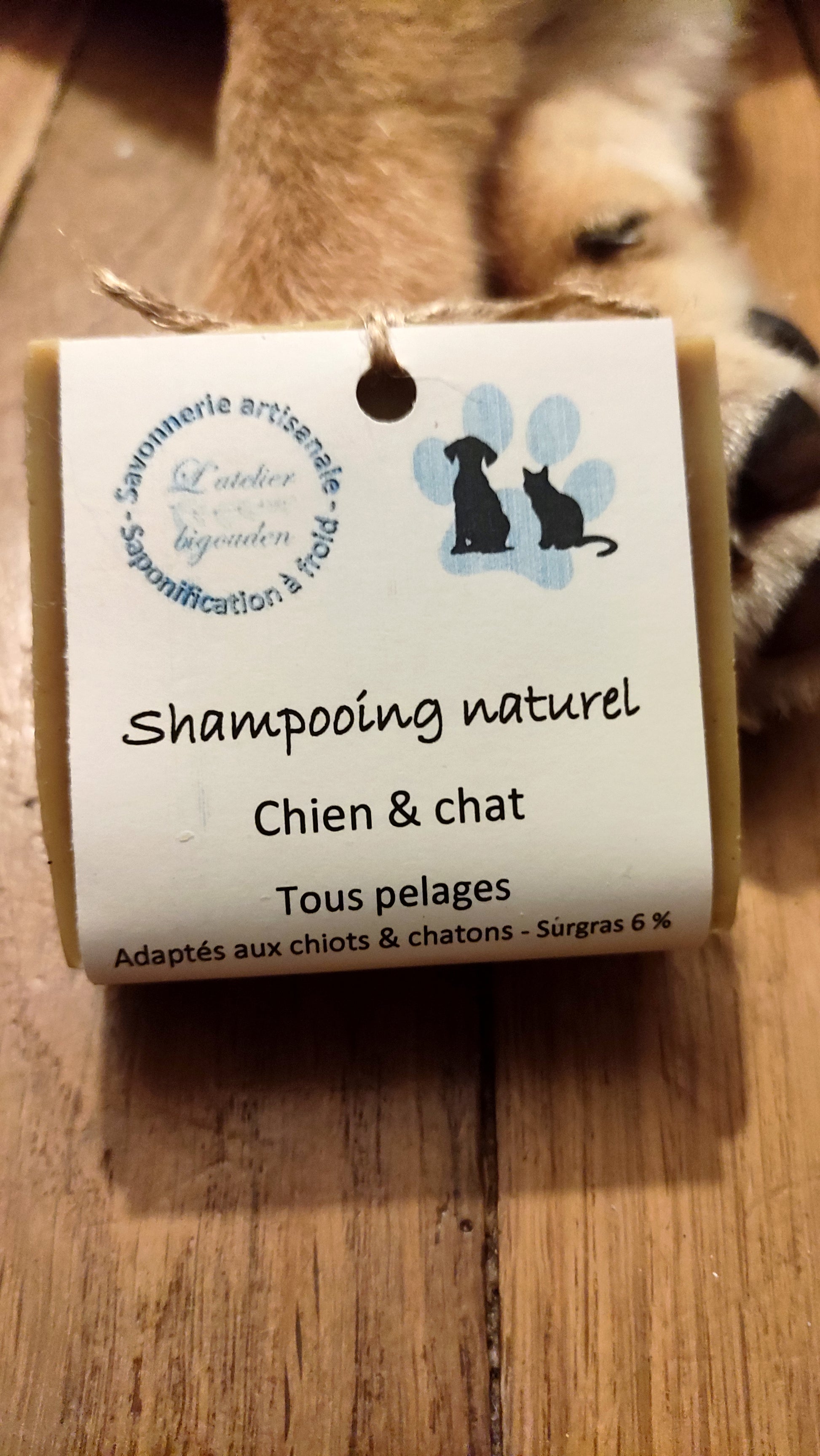 Shampooing solide saponifié à froid pour chien et chat