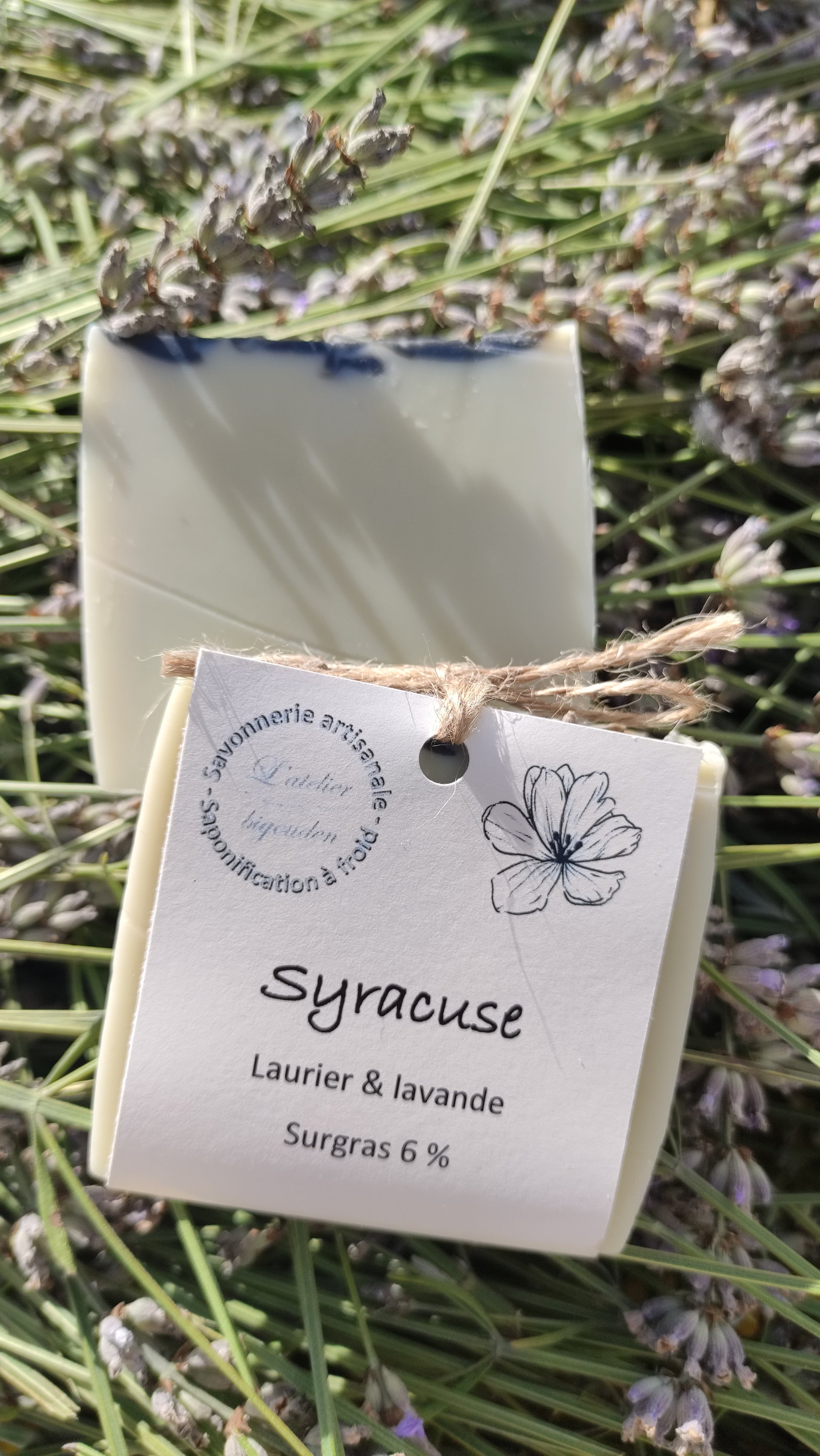 Savon saponifié à froid à l'huile de baies de laurier et à la lavande posé sur de la lavande fraichement coupée